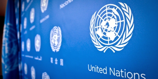 الهيئات الدولية التابعة للأمم المتحدة