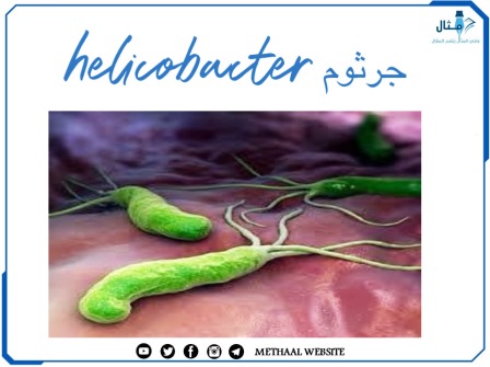 جرثوم ال Helicobacter