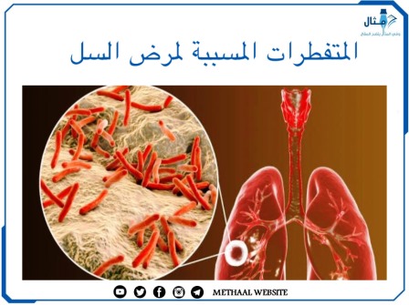 المتفطرات المسببة لمرض السل Mycobacterium Tuberculosis