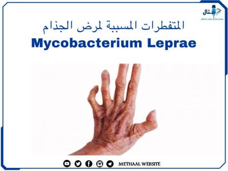 المتفطرات المسببة لمرض الجذام Mycobacterium Leprae
