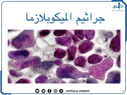 جراثيم الميكوبلازما Mycoplasma