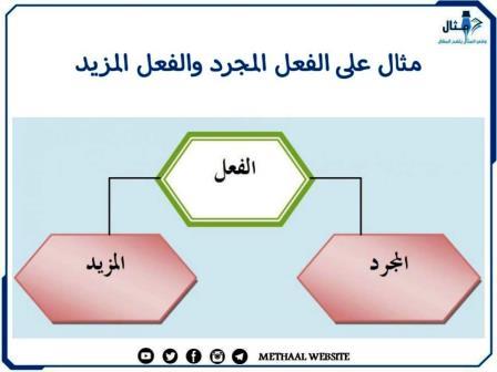 مثال على الفعل المجرد والفعل المزيد مثال على الفعل المجرد والفعل المزيد