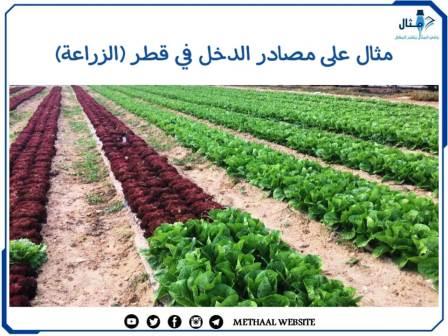 مثال على مصادر الدخل في قطر (الزراعة)