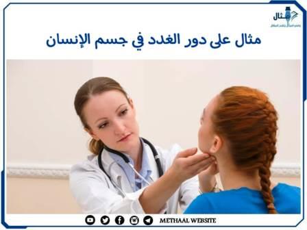 مثال على دور الغدد في جسم الإنسان مثال على دور الغدد في جسم الإنسان