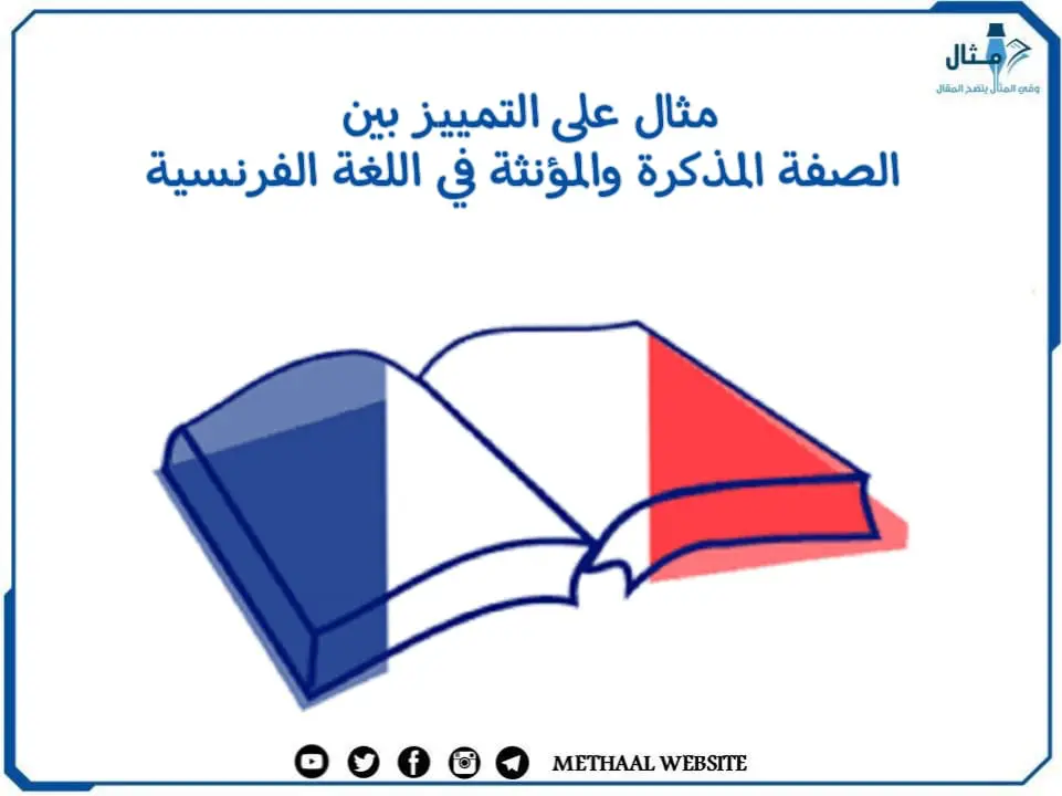 مثال على التمييز بين الصفة المذكرة والمؤنثة في اللغة الفرنسية مثال على التمييز بين الصفة المذكرة والمؤنثة في اللغة الفرنسية