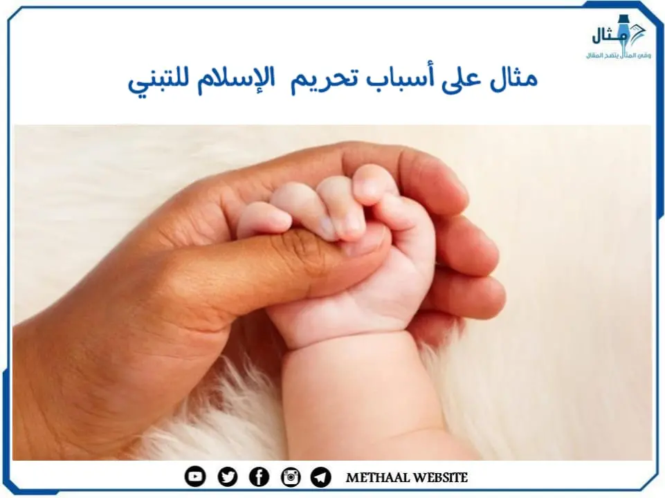 مثال على أسباب تحريم الإسلام للتبني مثال على أسباب تحريم الإسلام للتبني
