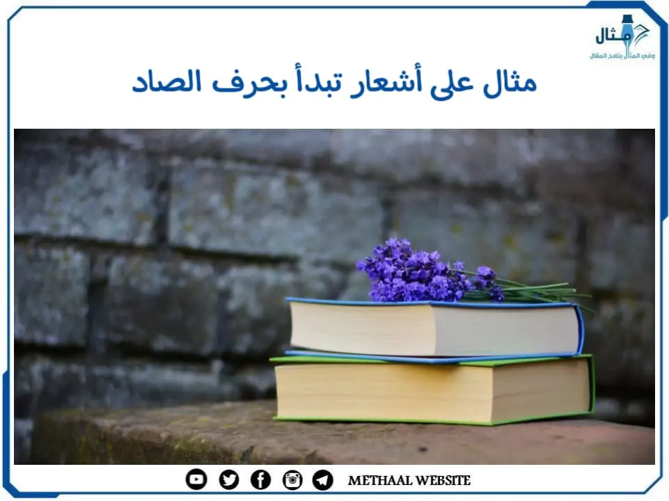 مثال على أشعار تبدأ بحرف الصاد مثال على أشعار تبدأ بحرف الصاد
