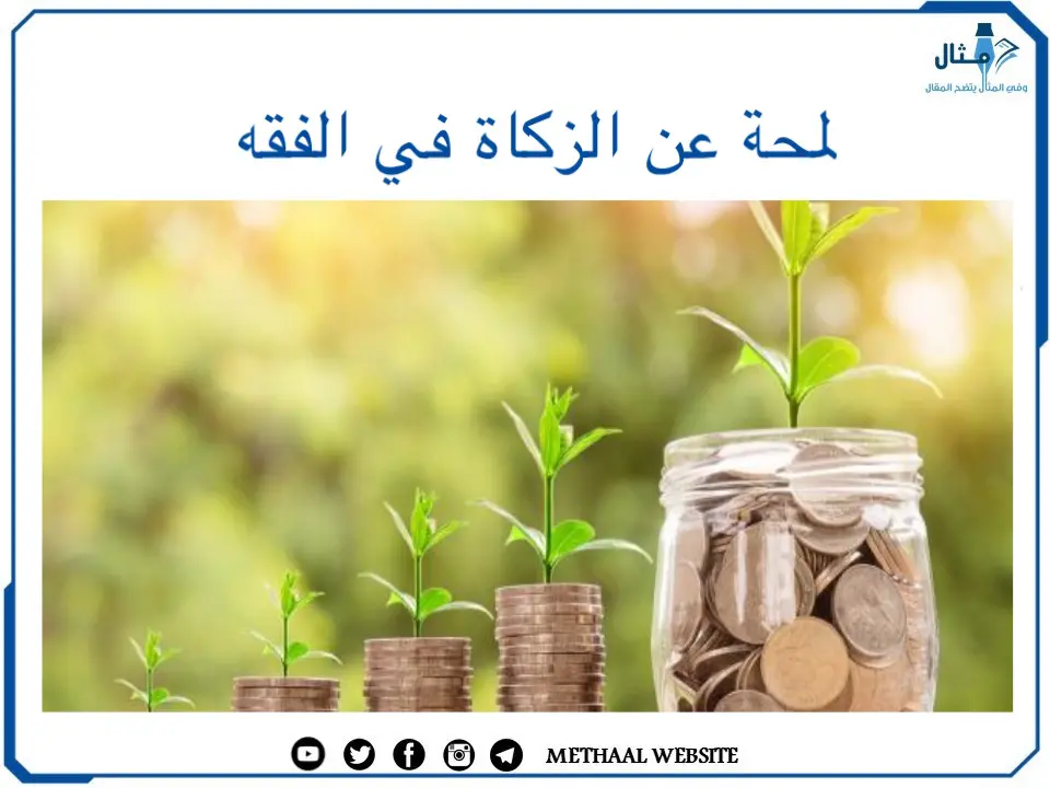 مثال على أحكام الزكاة في الفقه مثال على أحكام الزكاة في الفقه