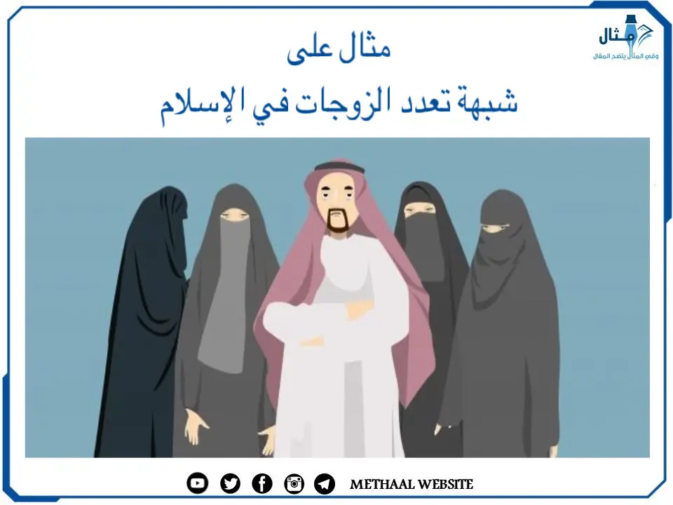 مثال على شبهة تعدد الزوجات في الإسلام