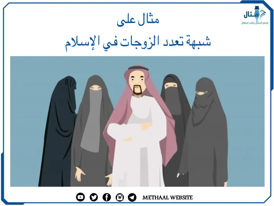 مثال على شبهة تعدد الزوجات في الإسلام مثال على شبهة تعدد الزوجات في الإسلام