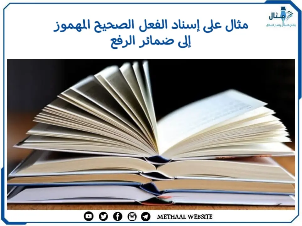 مثال على إسناد الفعل الصحيح المهموز إلى ضمائر الرفع مثال على إسناد الفعل الصحيح المهموز إلى ضمائر الرفع