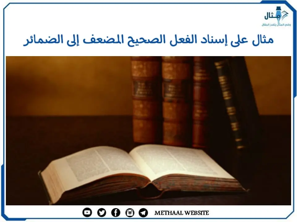 مثال على إسناد الفعل الصحيح المضعف إلى الضمائر مثال على إسناد الفعل الصحيح المضعف إلى الضمائر