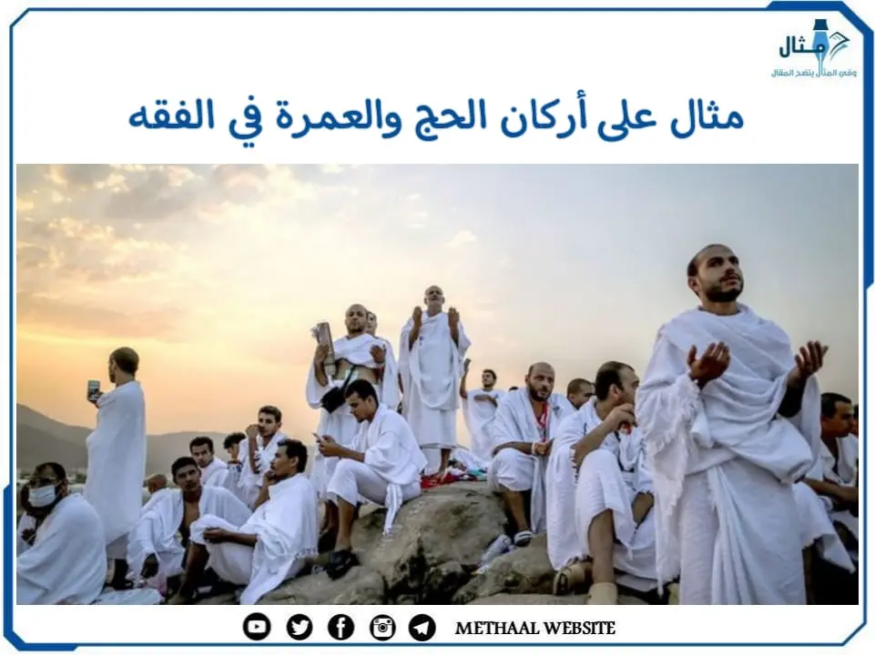 مثال على أركان الحج والعمرة في الفقه مثال على أركان الحج والعمرة في الفقه