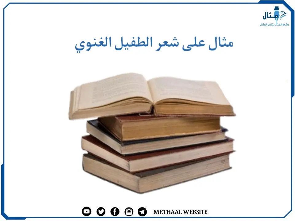 مثال على شعر الطفيل الغنوي مثال على شعر الطفيل الغنوي