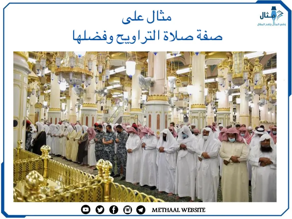 مثال على صفة صلاة التراويح وفضلها مثال على صفة صلاة التراويح وفضلها
