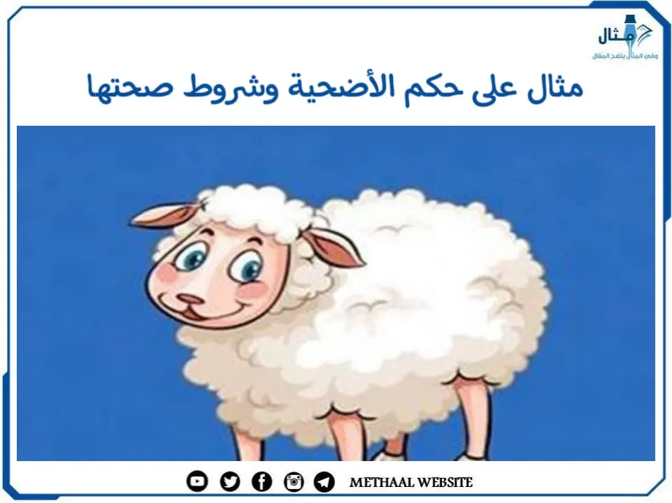 مثال على حكم الأضحية وشروط صحتها مثال على حكم الأضحية وشروط صحتها