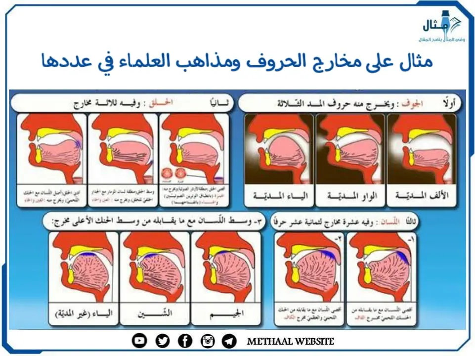 مثال على مخارج الحروف ومذاهب العلماء في عددها