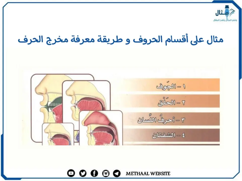 ما هي أقسام الحروف الهجائية ومخارجها في اللغة العربية ؟ مع شرحها بطيقة مبسطة ما هي أقسام الحروف الهجائية ومخارجها في اللغة العربية ؟ مع شرحها بطيقة مبسطة