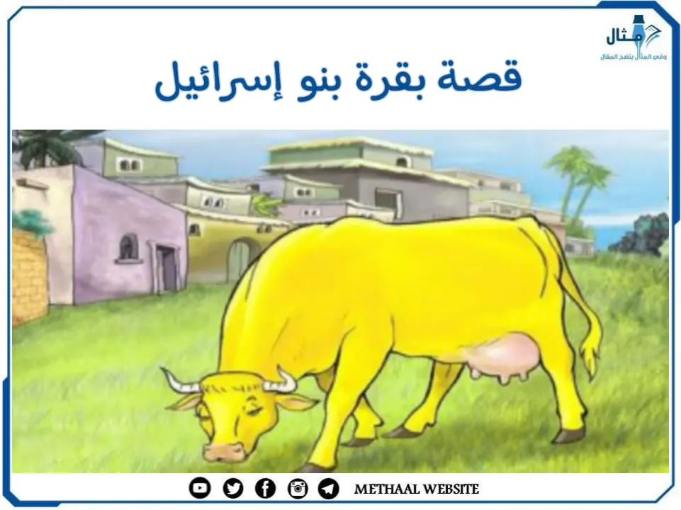 قصة بقرة بنو إسرائيل قصة بقرة بنو إسرائيل