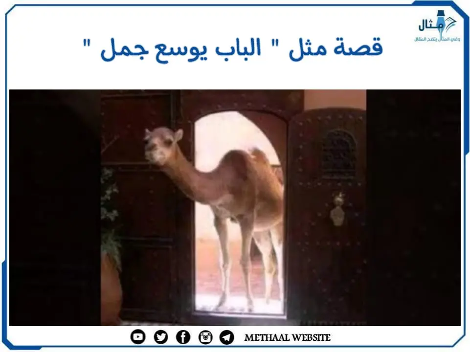 قصة مثل " الباب يوسع جمل " قصة مثل " الباب يوسع جمل "