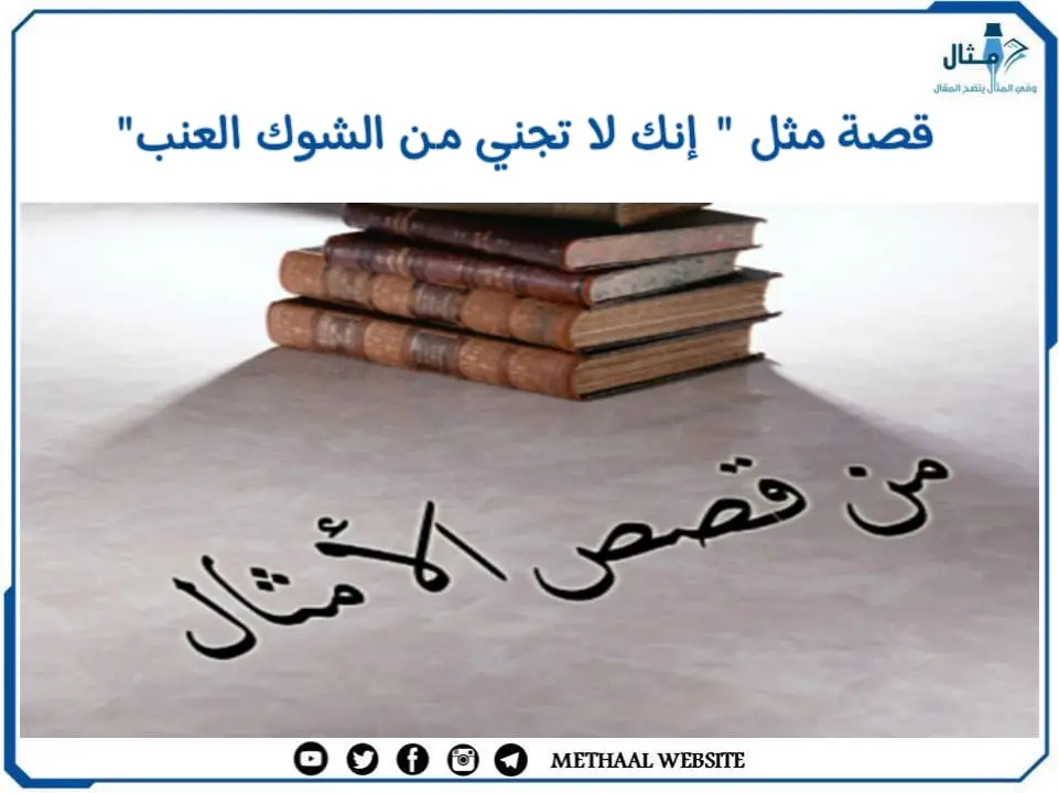قصة مثل " إنك لا تجني من الشوك العنب" قصة مثل " إنك لا تجني من الشوك العنب"