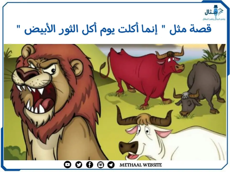 قصة مثل " إنما أكلت يوم أكل الثور الأبيض " قصة مثل " إنما أكلت يوم أكل الثور الأبيض "