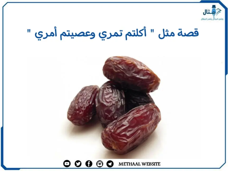 قصة مثل " أكلتم تمري وعصيتم أمري " قصة مثل " أكلتم تمري وعصيتم أمري "