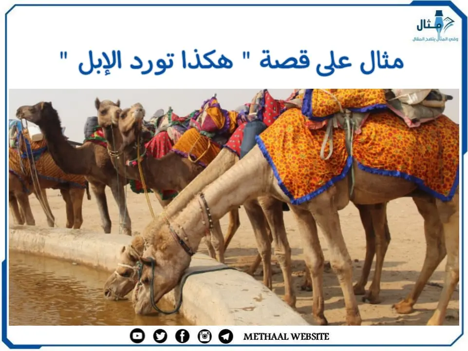 مثال على قصة " هكذا تورد الإبل " مثال على قصة " هكذا تورد الإبل "
