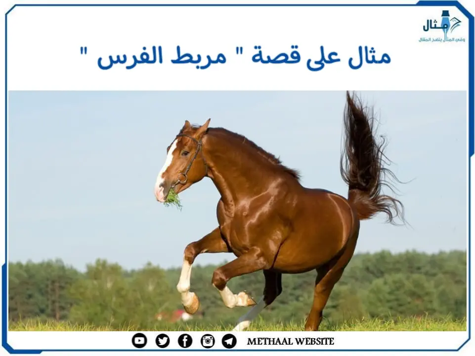 مثال على قصة " مربط الفرس " مثال على قصة " مربط الفرس "