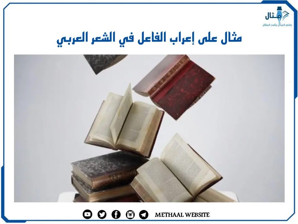 مثال على إعراب الفاعل في الشعر العربي مثال على إعراب الفاعل في الشعر العربي