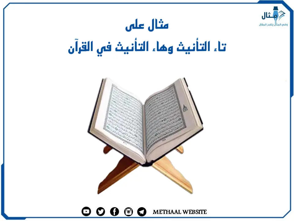 مثال على تاء التأنيث وهاء التأنيث في القرآن مثال على تاء التأنيث وهاء التأنيث في القرآن