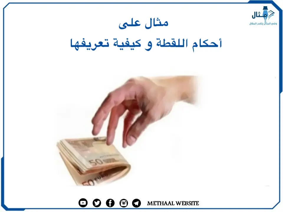 مثال على أحكام اللقطة و كيفية تعريفها مثال على أحكام اللقطة و كيفية تعريفها