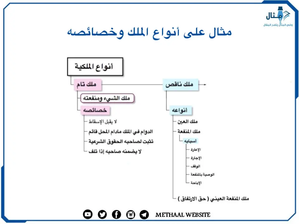 مثال على أنواع الملك وخصائصه