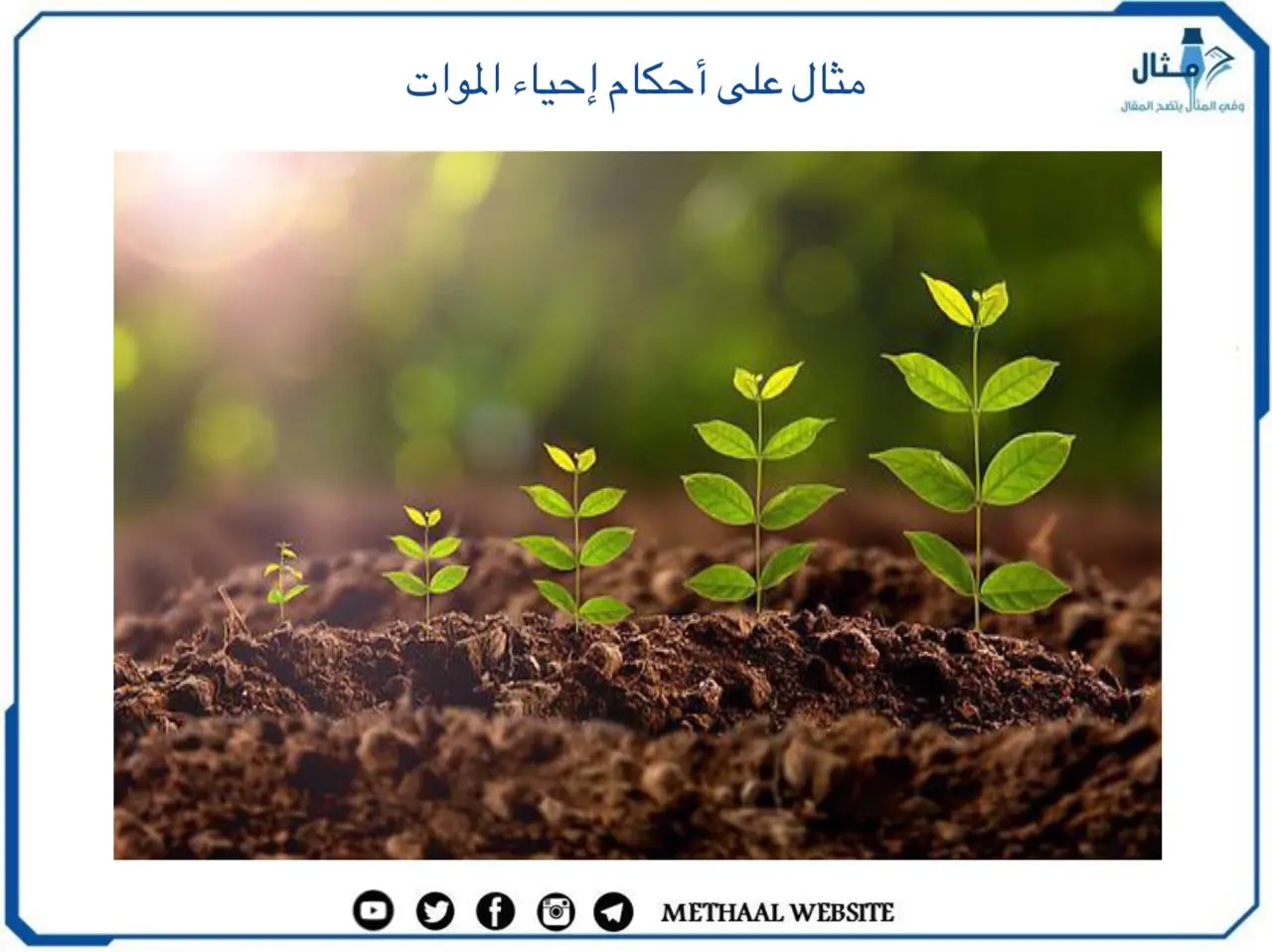 مثال على أحكام إحياء الموات مثال على أحكام إحياء الموات