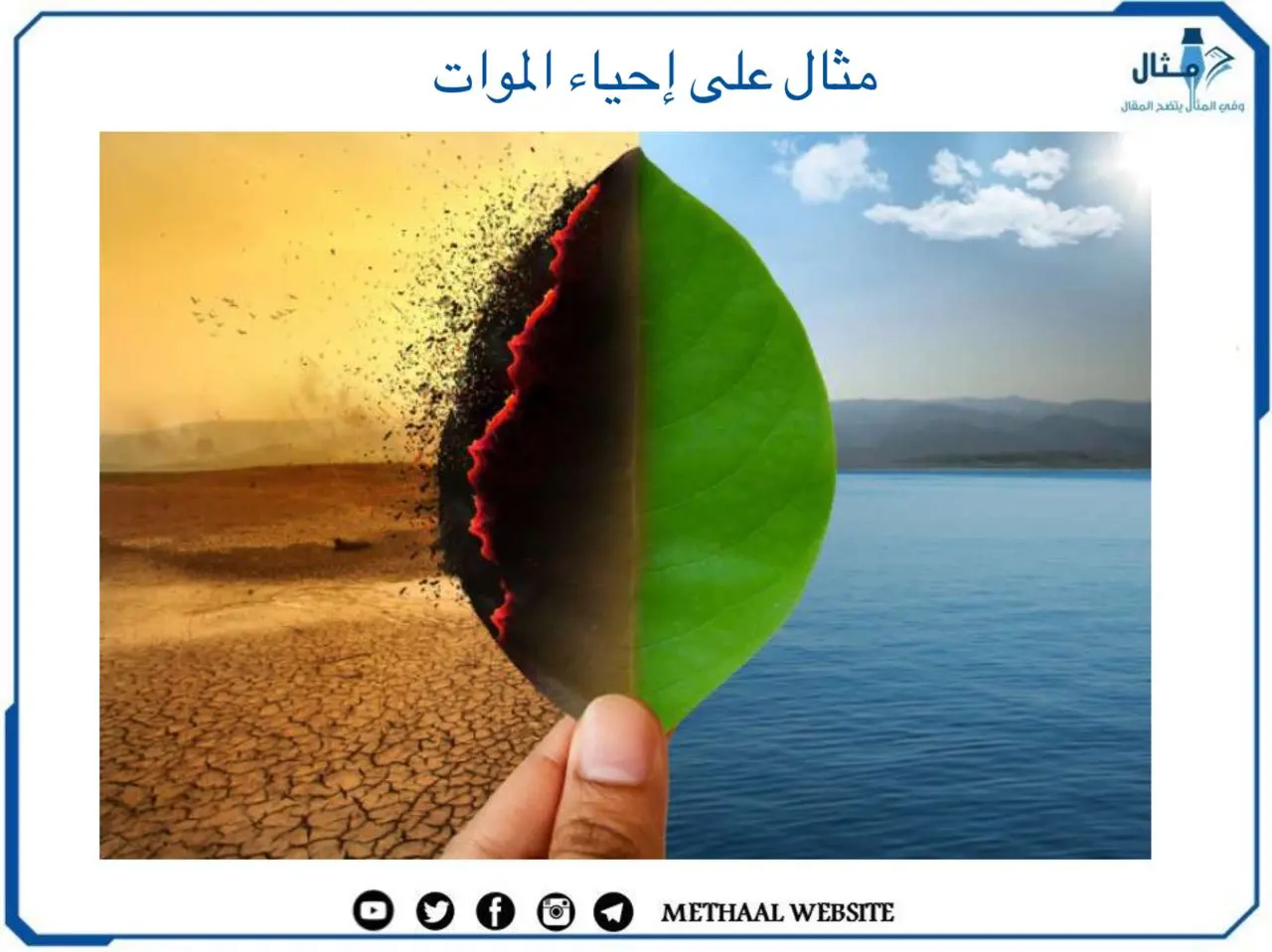 مثال على إحياء الموات مثال على إحياء الموات