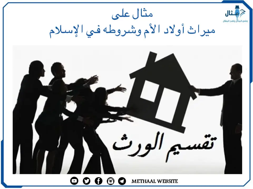 مثال على ميراث أولاد الأم وشروطه في الإسلام مثال على ميراث أولاد الأم وشروطه في الإسلام