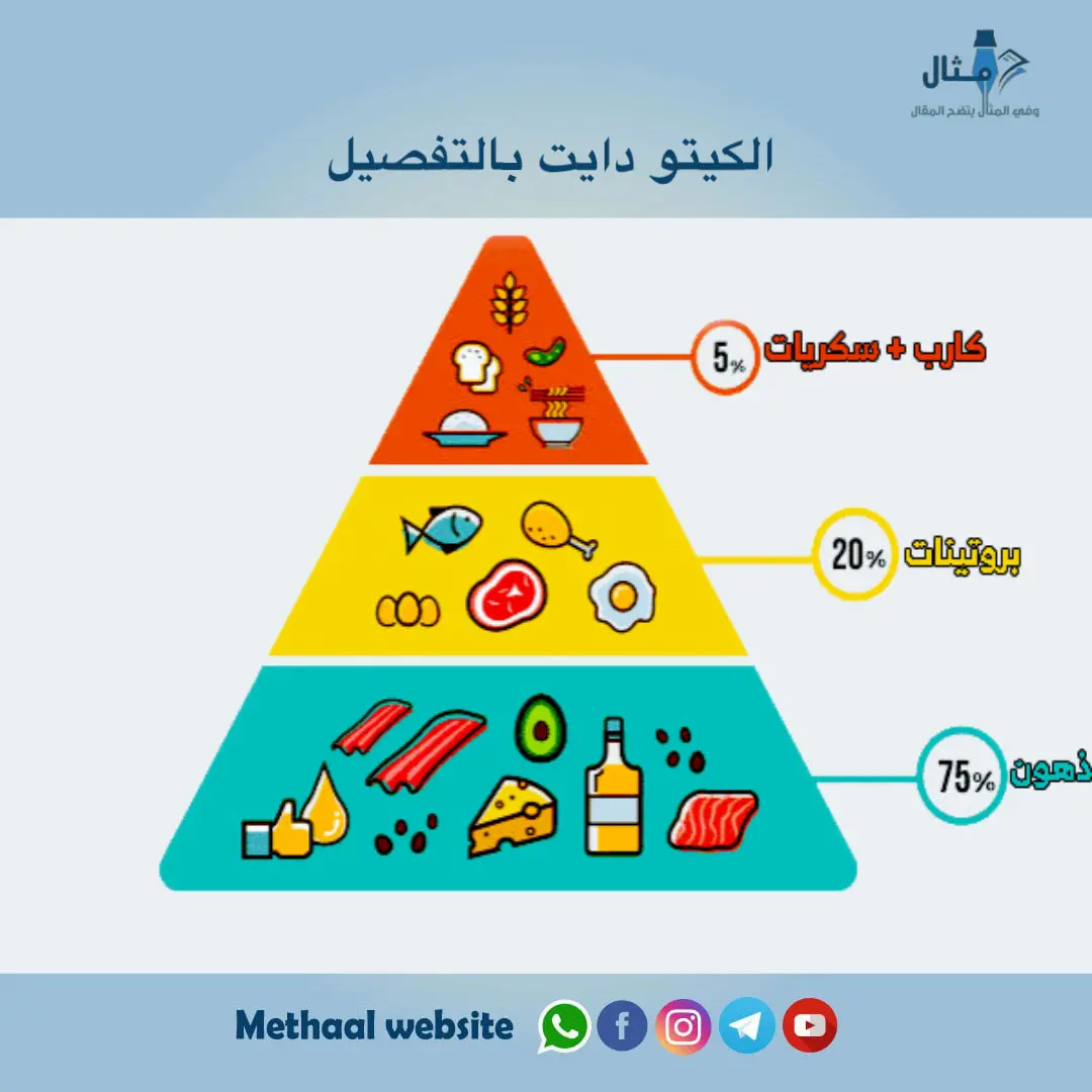 الكيتو دايت بالتفصيل الكيتو دايت بالتفصيل