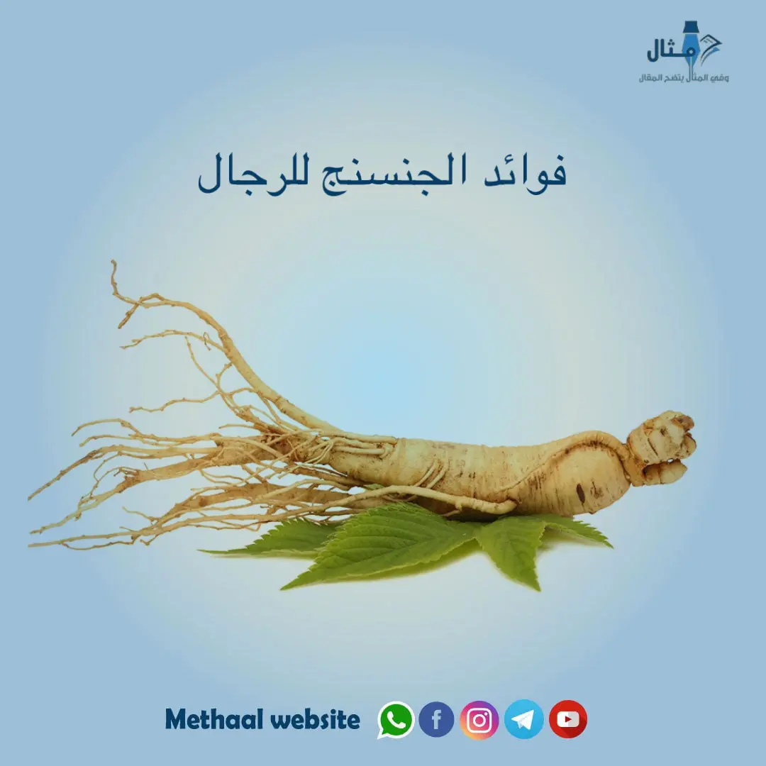 فوائد الجنسنج للرجال