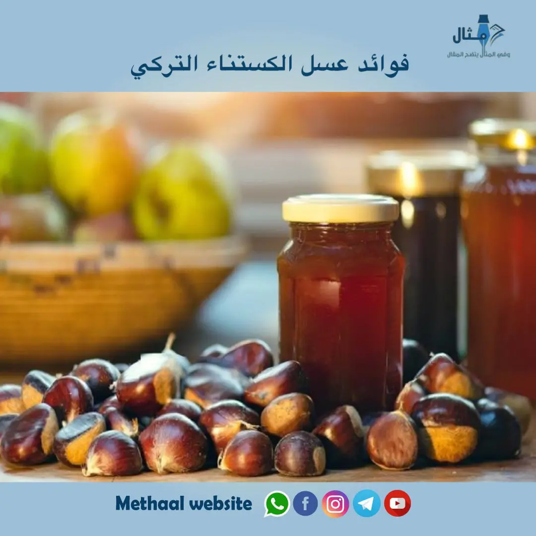 فوائد عسل الكستناء التركي فوائد عسل الكستناء التركي