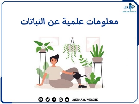 معلومات علمية عن النباتات