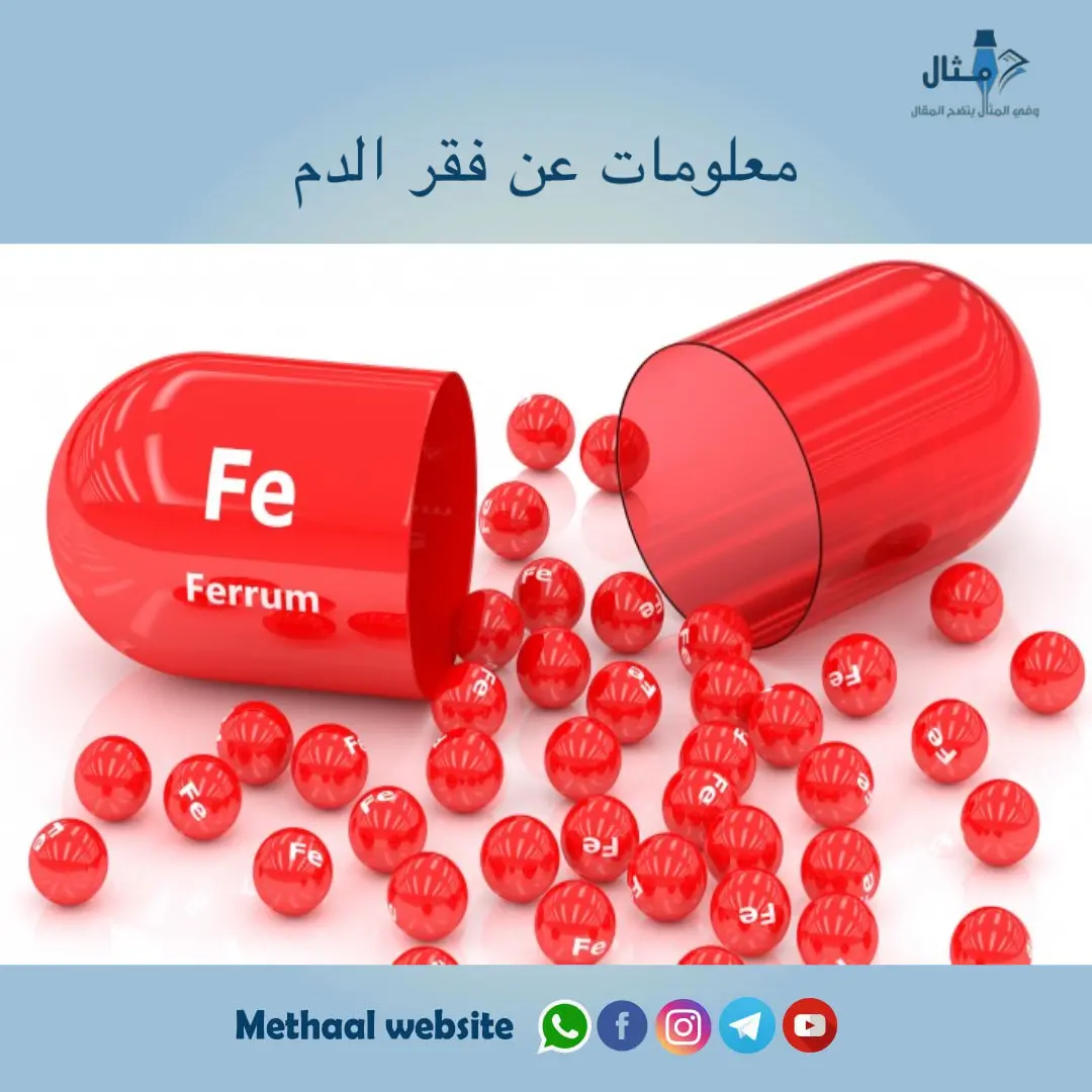 معلومات عن فقر الدم معلومات عن فقر الدم