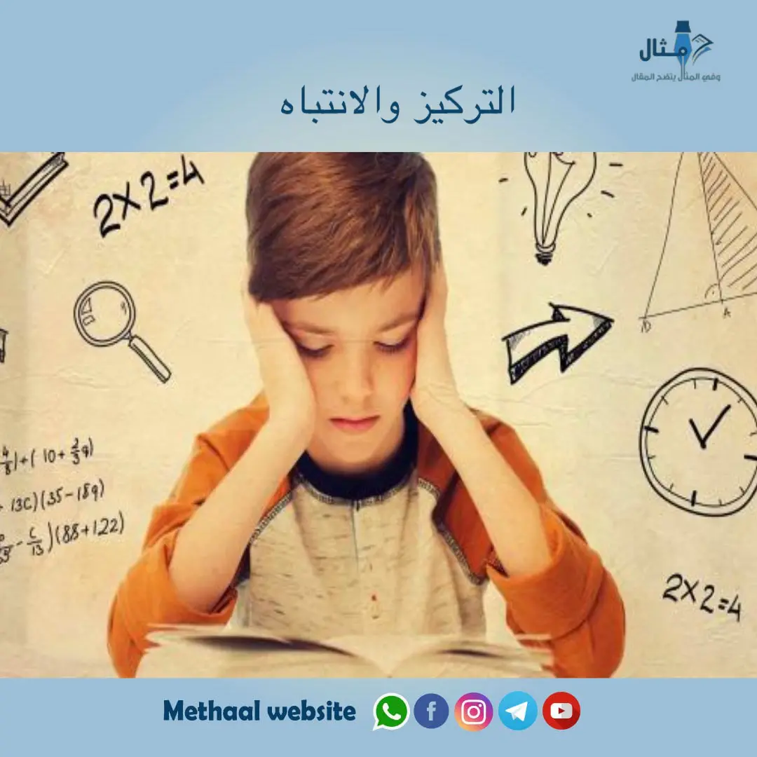 التركيز والانتباه التركيز والانتباه