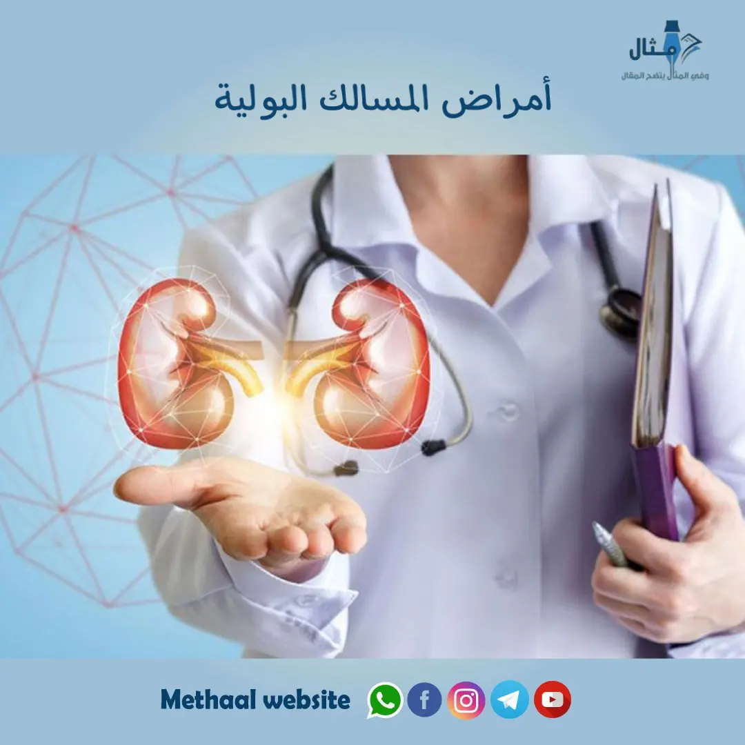 أمراض المسالك البولية أمراض المسالك البولية