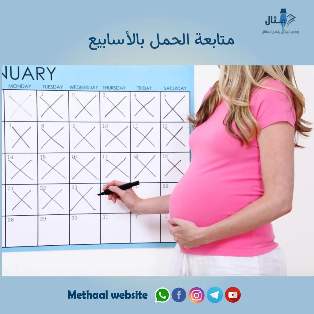 متابعة الحمل بالأسابيع متابعة الحمل بالأسابيع