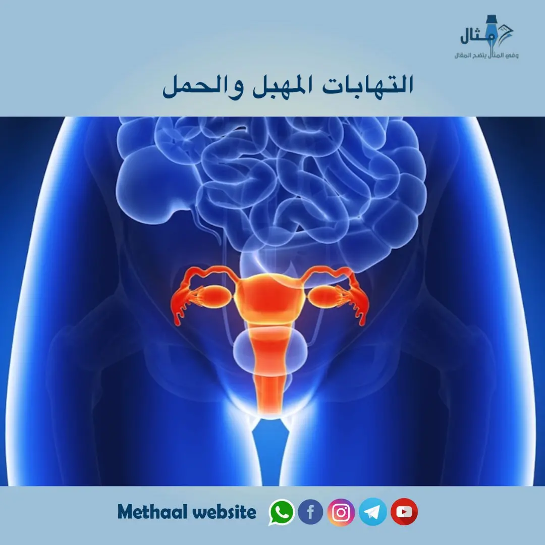 التهابات المهبل والحمل التهابات المهبل والحمل