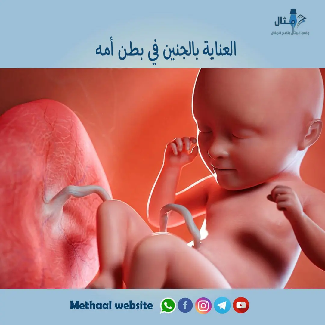 العناية بالجنين في بطن أمه العناية بالجنين في بطن أمه