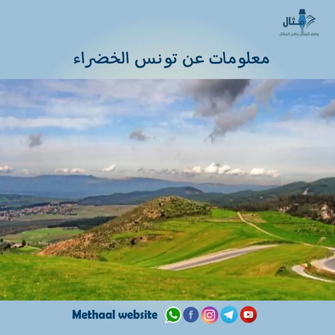 معلومات عن تونس الخضراء معلومات عن تونس الخضراء