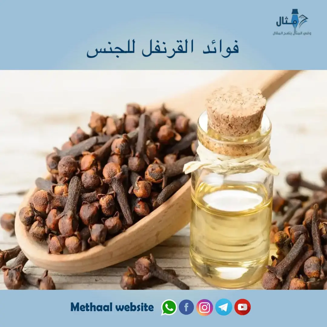 فوائد القرنفل للجنس فوائد القرنفل للجنس