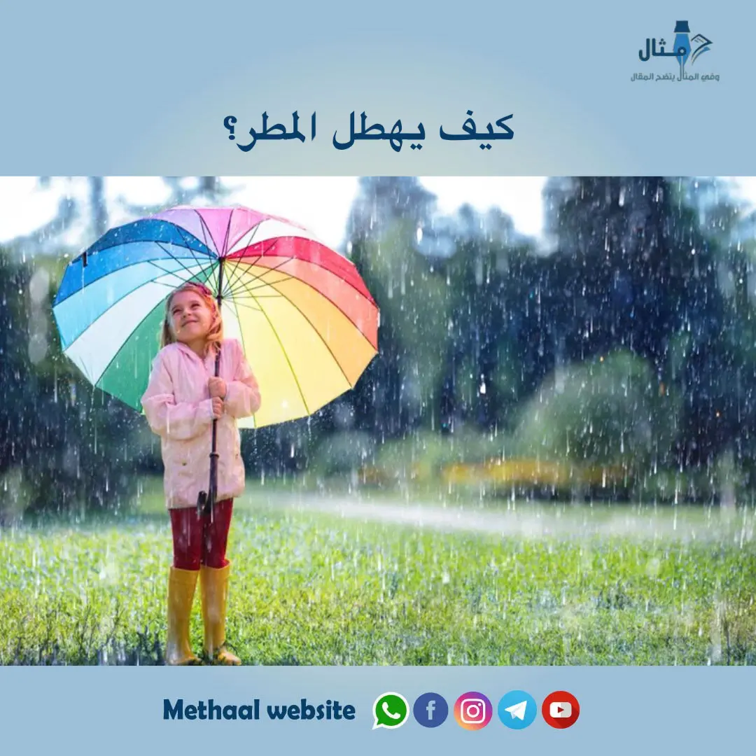 كيف يهطل المطر ؟ كيف يهطل المطر ؟