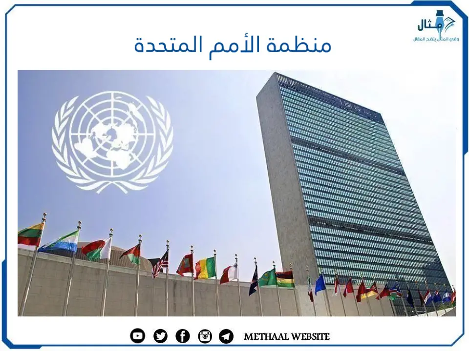 منظمة الأمم المتحدة منظمة الأمم المتحدة